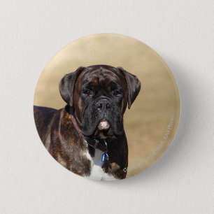 Brindle Boxer Dog Permanent Ronde Button 5,7 Cm
