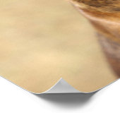 Brindle Boxer Dog Poster (Hoek)