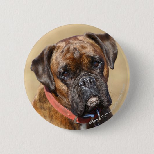 Brindle Boxer Dog Ronde Button 5,7 Cm (Voorkant)