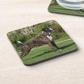 Brindle Boxer Dog Show Stance Bier Onderzetter (Linkerzijde)