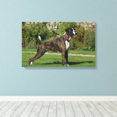 Brindle Boxer Dog Show Stance Canvas Afdruk (Insitu (Houten vloer))