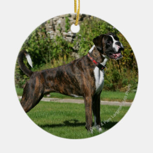 Brindle Boxer Dog Show Stance Keramisch Ornament