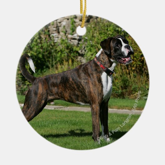 Brindle Boxer Dog Show Stance Keramisch Ornament (Voorkant)