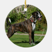 Brindle Boxer Dog Show Stance Keramisch Ornament (Achterkant)
