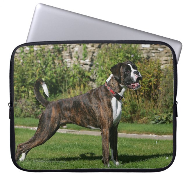 Brindle Boxer Dog Show Stance Laptop Sleeve (Voorkant)