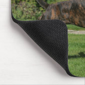 Brindle Boxer Dog Show Stance Muismat (Hoek)