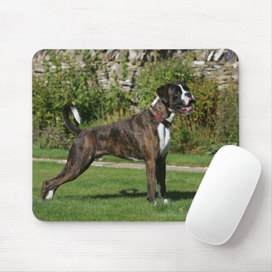 Brindle Boxer Dog Show Stance Muismat (Met muis)