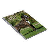 Brindle Boxer Dog Show Stance Notitieboek (Rechterzijde)