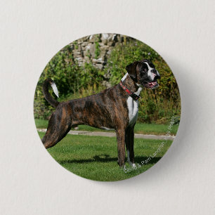Brindle Boxer Dog Show Stance Ronde Button 5,7 Cm