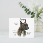 Brindle Boxer Geschiedenis Briefkaart (Staand voorkant)