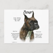 Brindle Boxer Geschiedenis Briefkaart (Voorkant)