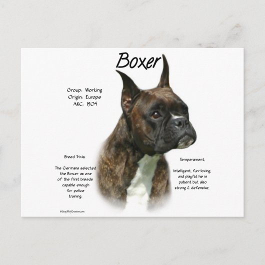 Brindle Boxer Geschiedenis Briefkaart (Voorkant)