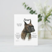 Brindle Boxer Geschiedenis Briefkaart (Staand voorkant)