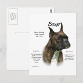 Brindle Boxer Geschiedenis Briefkaart (Voorkant / Achterkant)