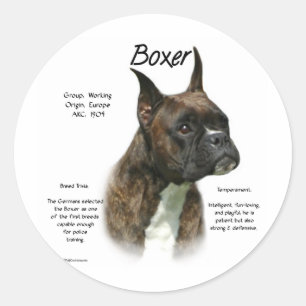 Brindle Boxer Geschiedenis Ronde Sticker