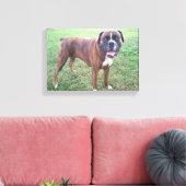 Brindle Boxer Hond Fotobehang Canvas Afdruk (Insitu (Woonkamer))