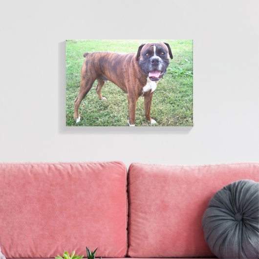Brindle Boxer Hond Fotobehang Canvas Afdruk (Insitu (Woonkamer))