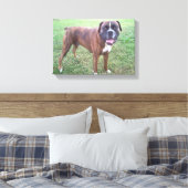 Brindle Boxer Hond Fotobehang Canvas Afdruk (Insitu (Slaapkamer))