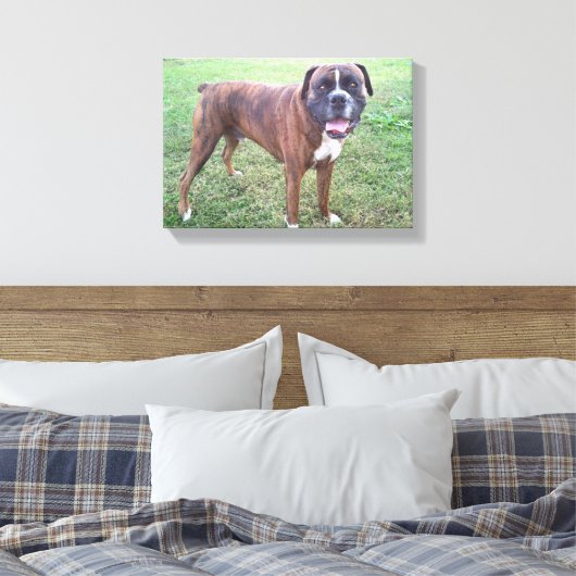 Brindle Boxer Hond Fotobehang Canvas Afdruk (Insitu (Slaapkamer))