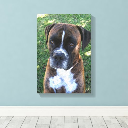 Brindle Boxer Hond Fotobehang Canvas Afdruk (Insitu (Houten vloer))