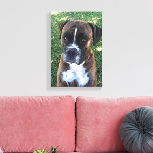 Brindle Boxer Hond Fotobehang Canvas Afdruk (Insitu (Woonkamer))