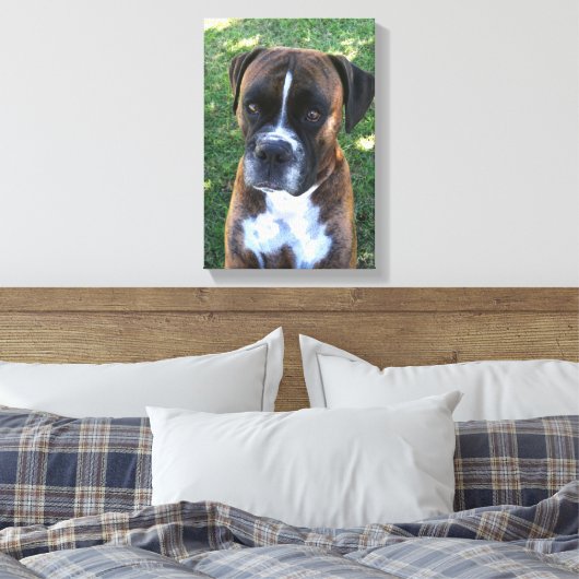 Brindle Boxer Hond Fotobehang Canvas Afdruk (Insitu (Slaapkamer))