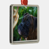 Brindle boxer-hondenversiering metalen ornament (Rechts)