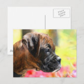 Brindle Boxer puppy briefkaart (Voorkant / Achterkant)