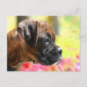 Brindle Boxer puppy briefkaart (Voorkant)