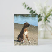 Brindle Boxer Puppy briefkaart (Staand voorkant)
