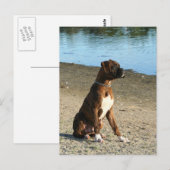 Brindle Boxer Puppy briefkaart (Voorkant / Achterkant)