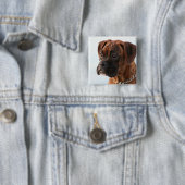 Brindle boxer puppy button (In situ)