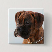Brindle boxer puppy button (Voorkant)