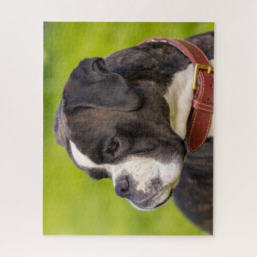 Brindle Boxer Puppy Dog Legpuzzel (Verticaal)