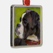 Brindle Boxer Puppy Dog Metalen Ornament (Rechts)