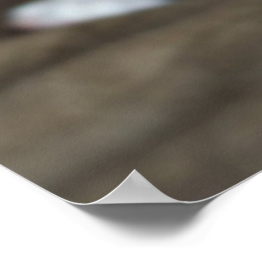 Brindle Boxer Puppy Poster (Hoek)