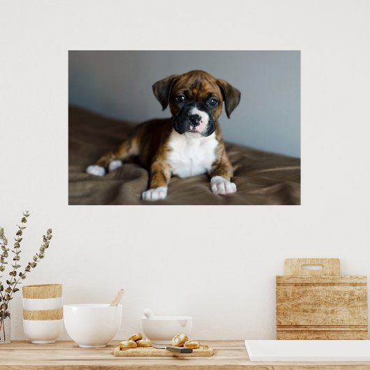 Brindle Boxer Puppy Poster (Keuken)