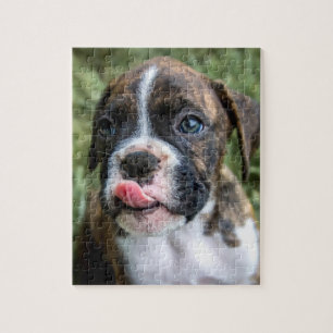 Brindle Boxer Puppy Puzzle - Boxer Dog Puzzels