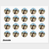 Brindle Boxer Puppy stickers (Vel)