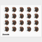 Brindle boxer puppy stickers (Vel)