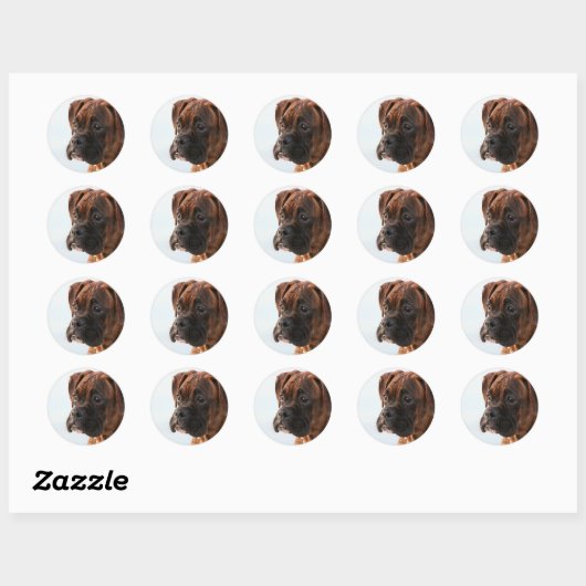 Brindle boxer puppy stickers (Vel)