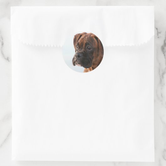 Brindle boxer puppy stickers (Tas)