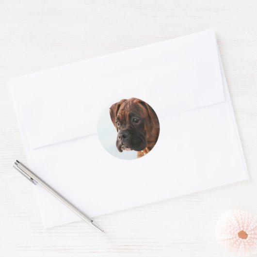 Brindle boxer puppy stickers (Envelop)