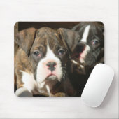 Brindle boxer pups mousepad muismat (Met muis)