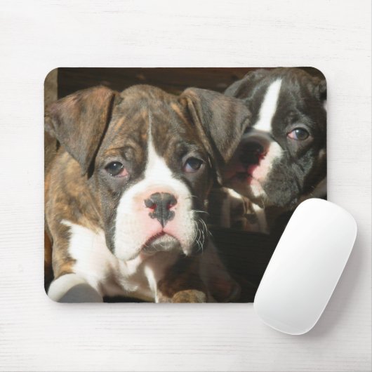 Brindle boxer pups mousepad muismat (Met muis)
