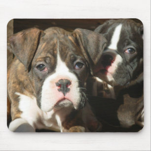 Brindle boxer pups mousepad muismat