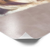 Brindle en White Shih Tzu Dog Foto Afdruk (Hoek)