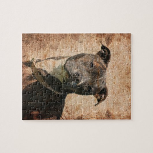 Brindle en witte Pitbull Legpuzzel (Horizontaal)