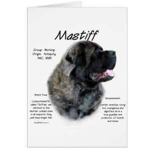 Brindle Fluffy Mastiff Geschiedenis
