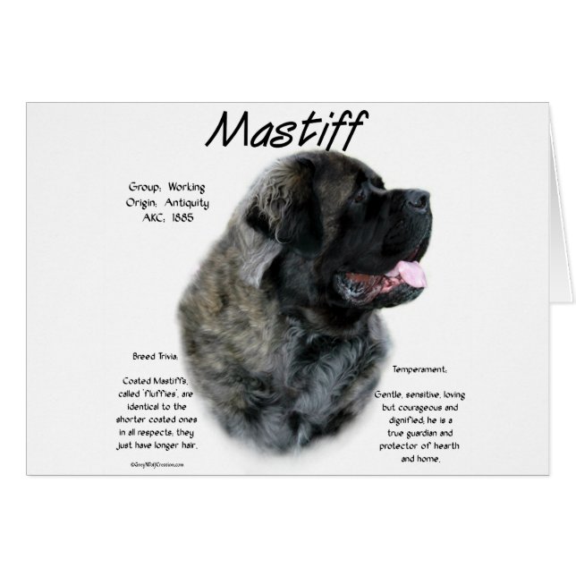Brindle Fluffy Mastiff Geschiedenis (Voorkant Horizontaal)